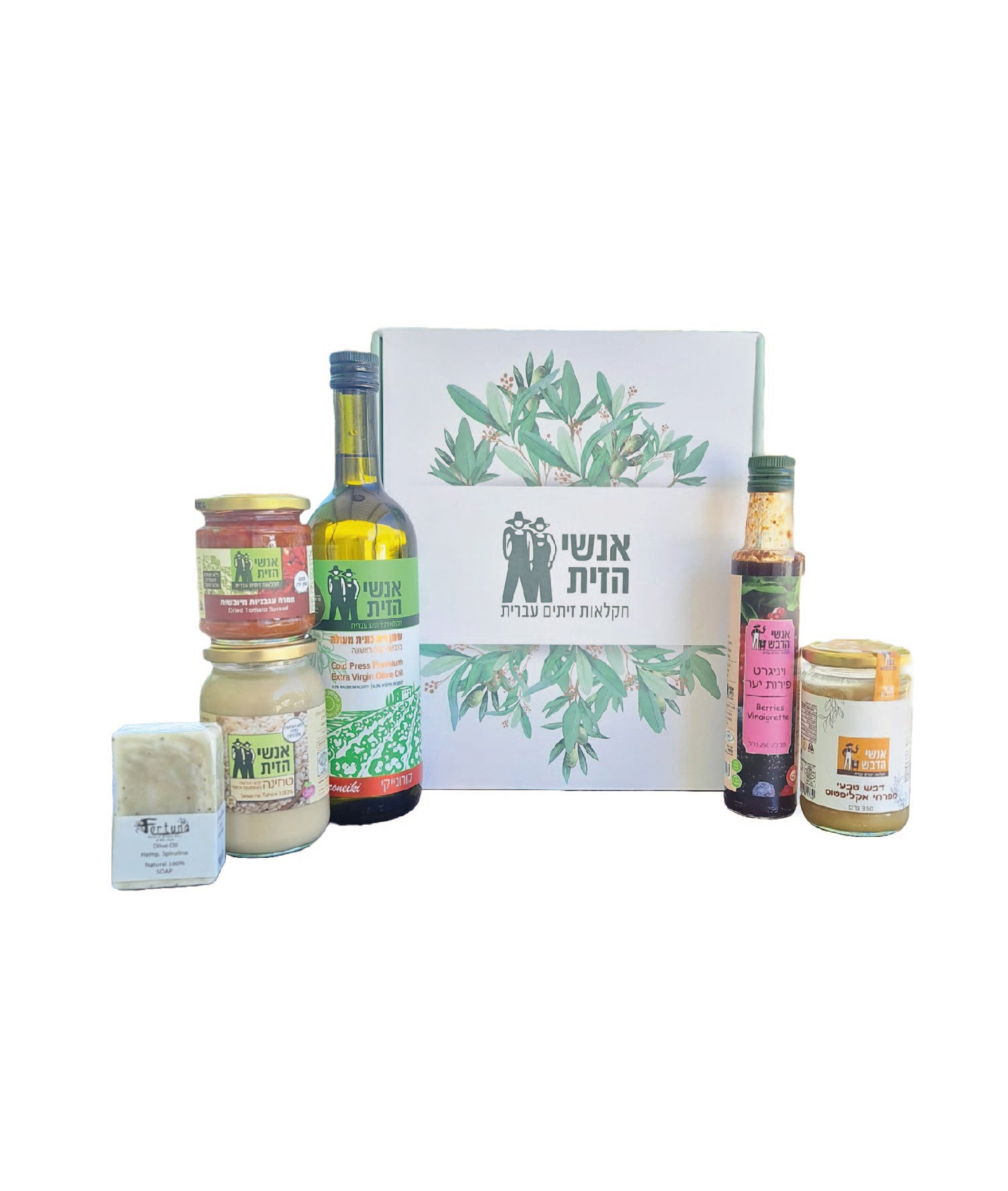 מארז הארץ